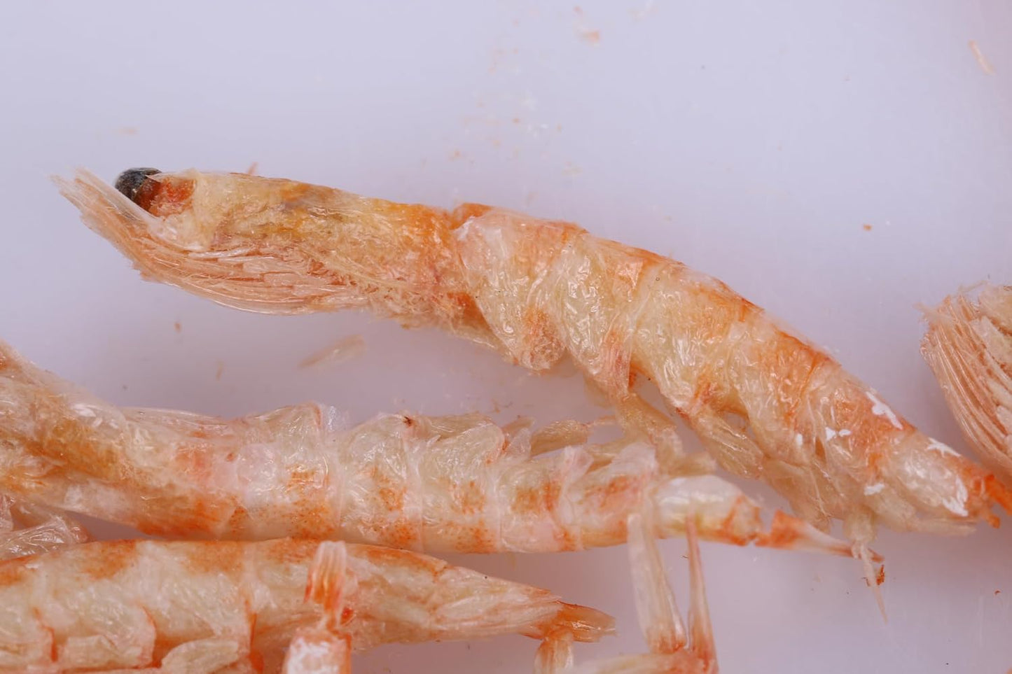 Premium floating shrimp and krill blend for pond koi and turtles