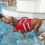 Kuoser dog life jacket laid flat displaying the adjustable chest and neck safety panels