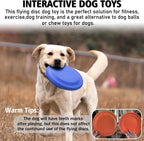 Dog playing fetch with Xigou rubber flying disc