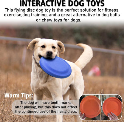 Dog playing fetch with Xigou rubber flying disc