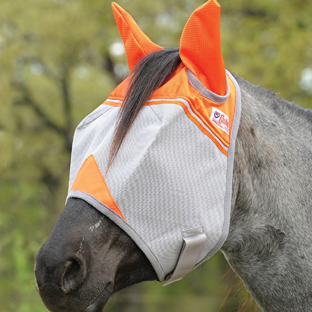 Detailed view of the three-hole cap on Cashel mask