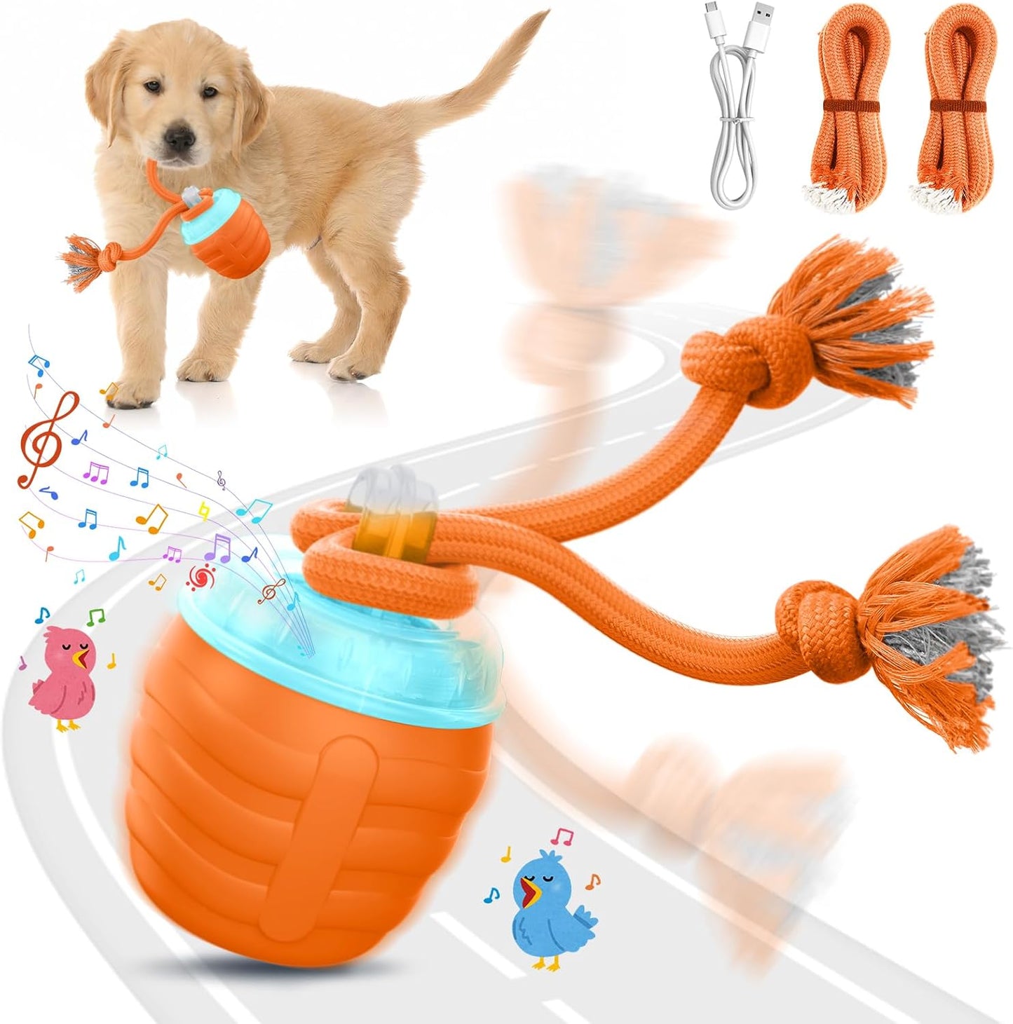 Packaging of imported Hvuatq automatic dog ball