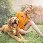 Hypoallergenic rhinestone crystal dollar sign pendant details on the pet costume necklace.