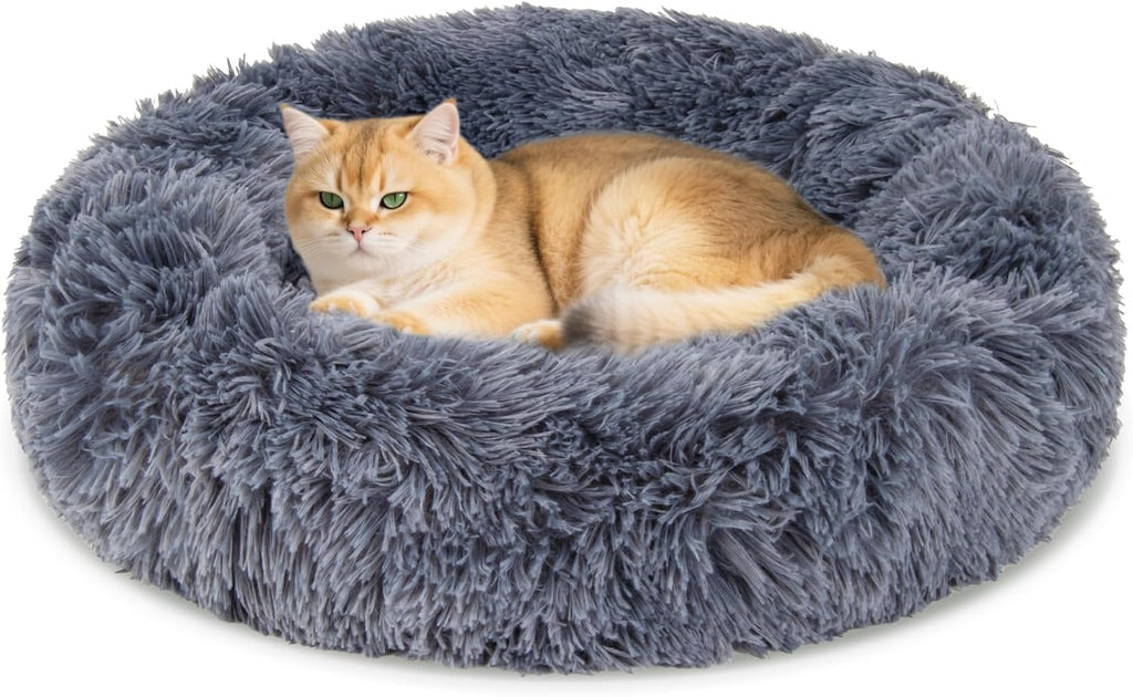 Small puppy resting in Rainflow donut calming bed