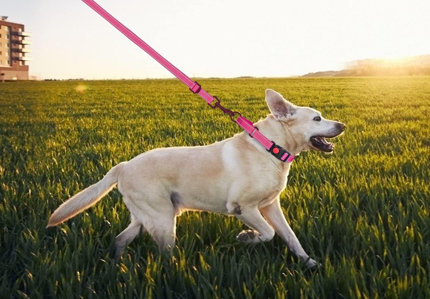 Large size hot pink martingale collar and leash set laid flat