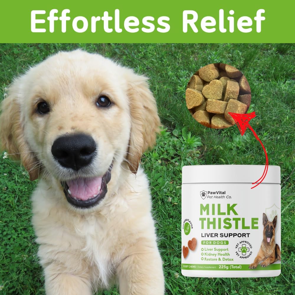 PawVital 90 count soft chews container for dog liver cell regeneration