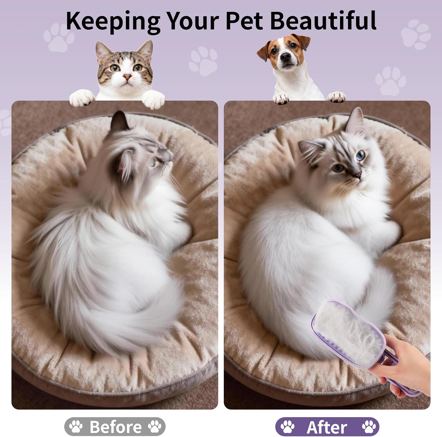 Baytion rechargeable grooming tool packaging