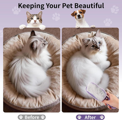 Baytion rechargeable grooming tool packaging