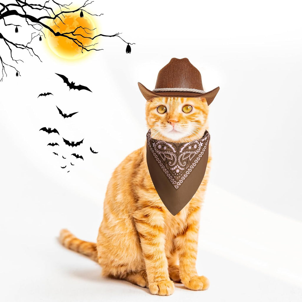Authentic western style pet outfit with brown hat and matching scarf