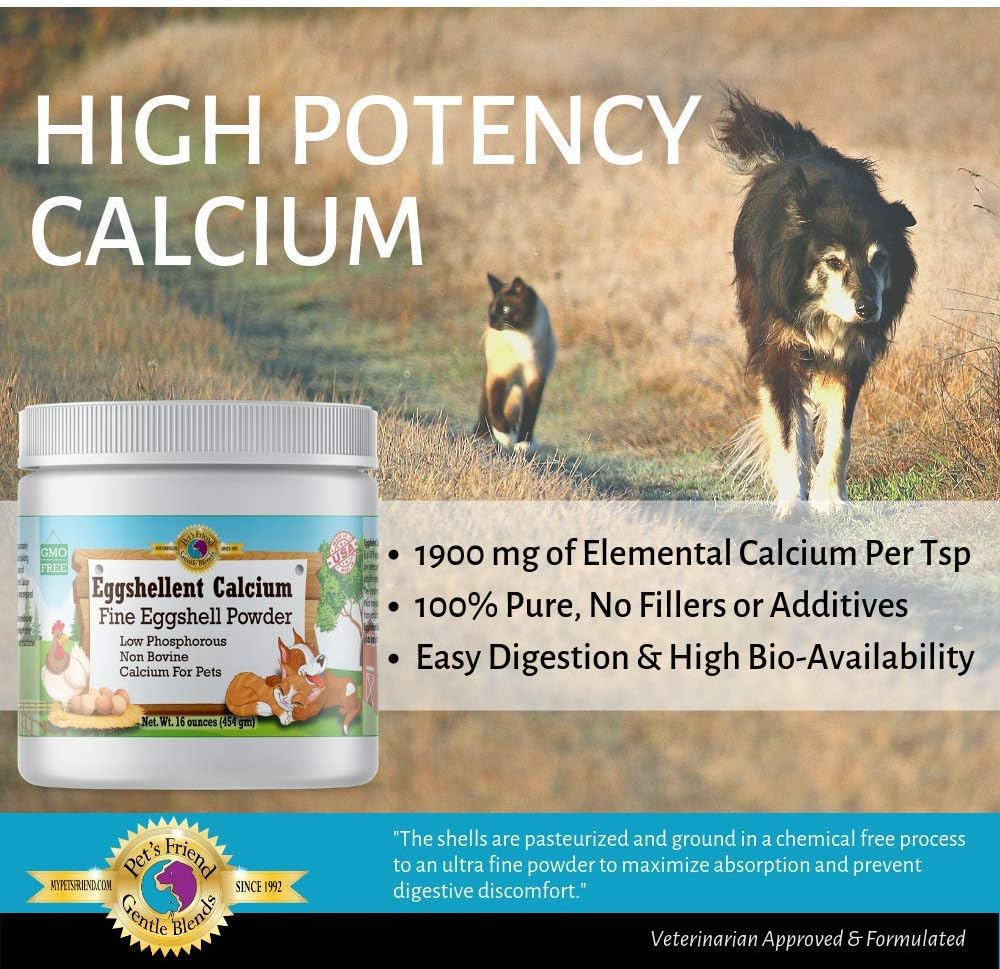 Eggshellent Calcium label showing dietary supplement info