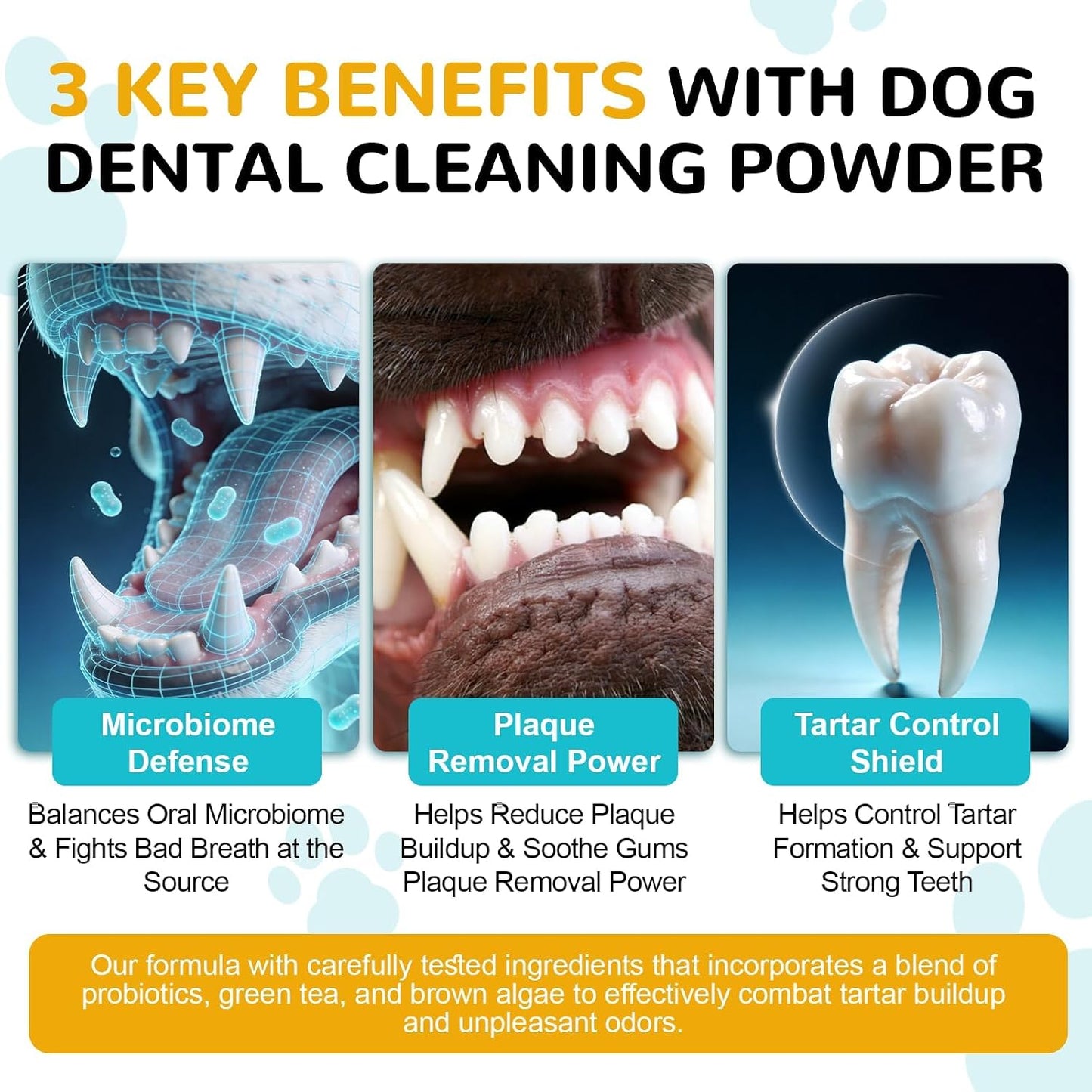 Petrivium pet dental powder jar showing natural seaweed and green tea ingredients.