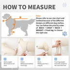 Dog recovery suit cartoon print pattern detail