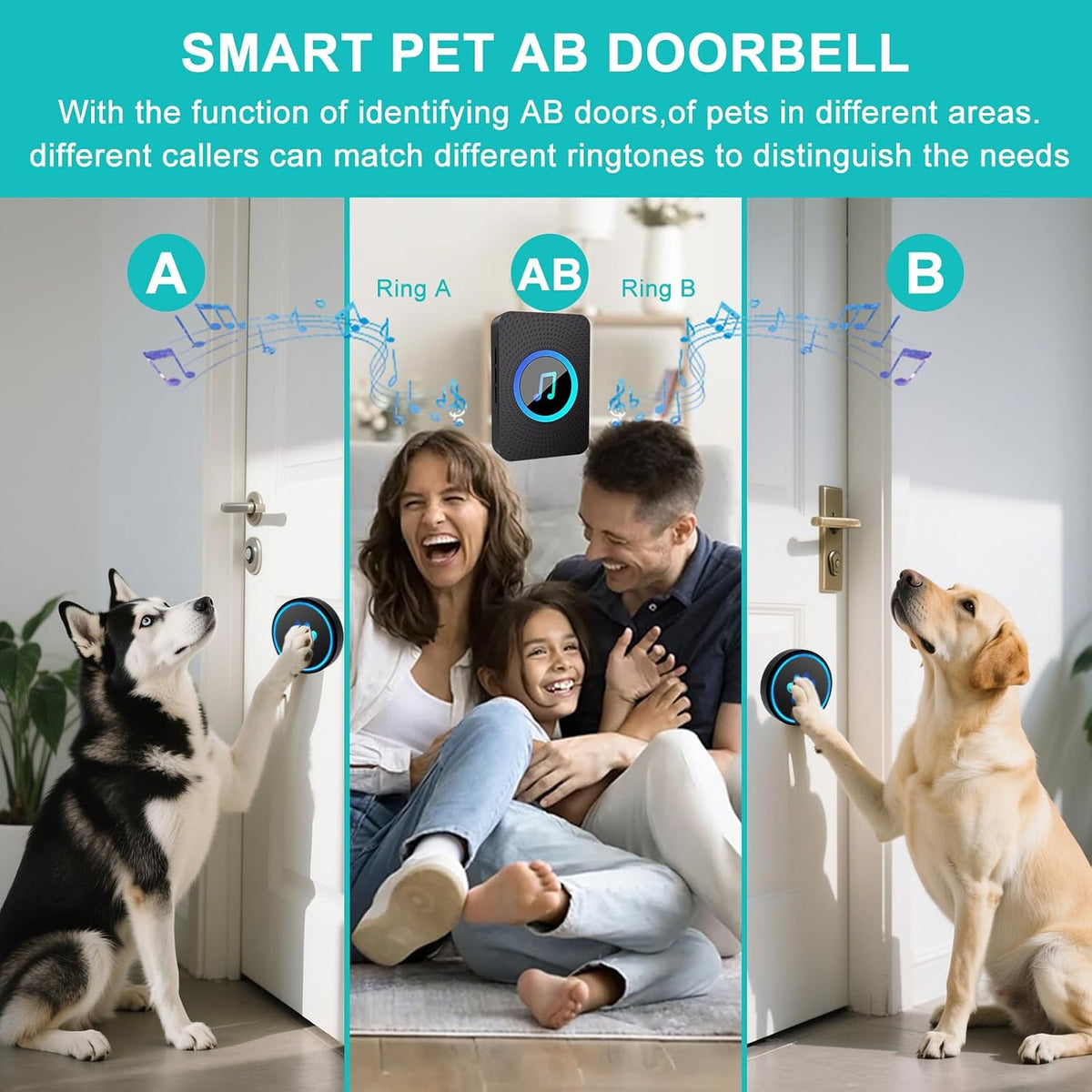 Dog Door Bell for Potty Training, Smart Wireless Doggie Doorbell to Go Outside, 1000 Feet Long Range with IP65 Waterproof Super-Light Touch Button, 60 Melodies & Adjustable Volume (Black) - Image 9