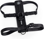 Fei and Eve Moxie harness with metal quick release buckle