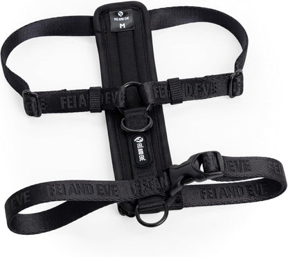 Fei and Eve Moxie harness with metal quick release buckle