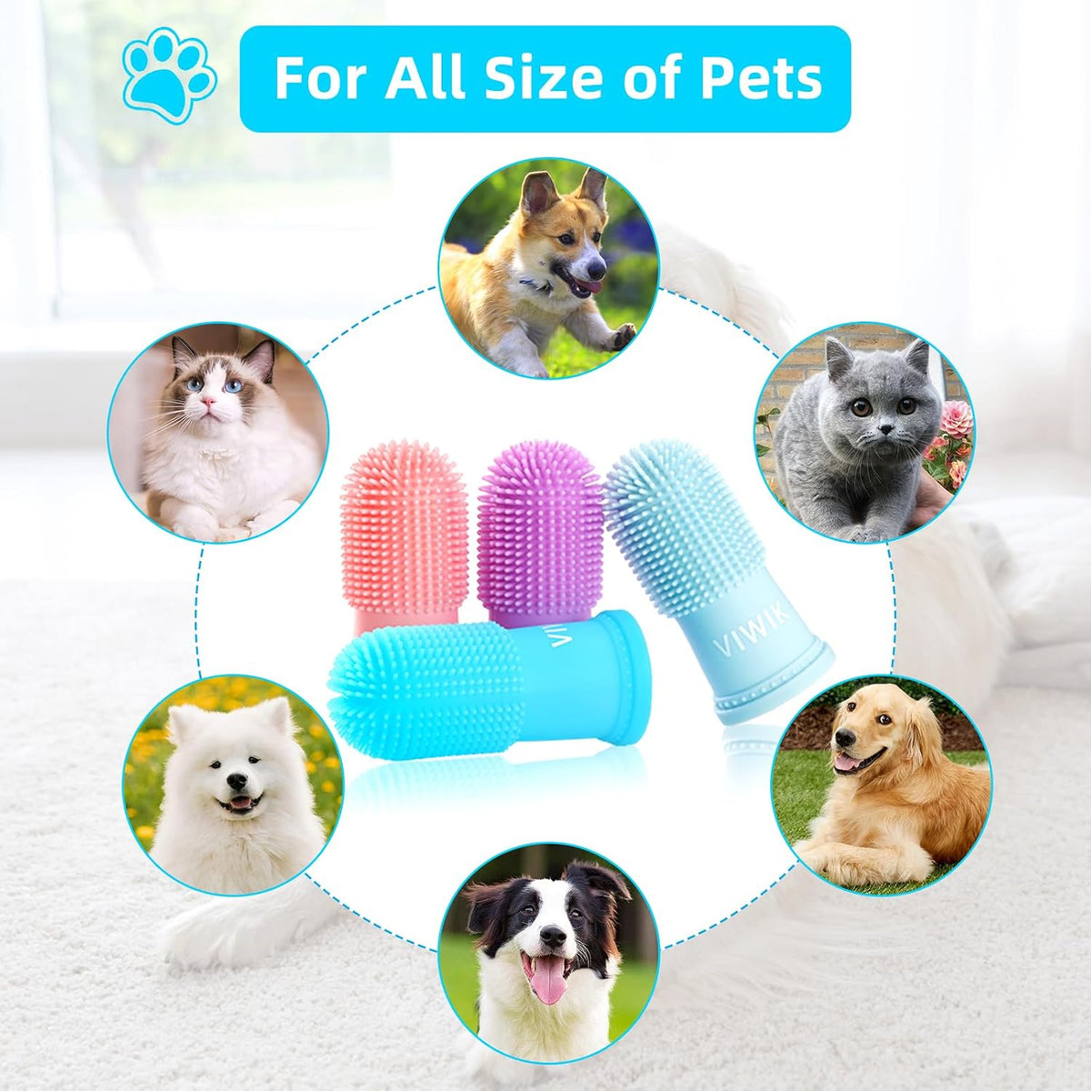 Viwik pet dental care kit with storage case