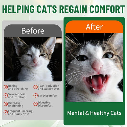 Feline allergy relief supplement bottle featuring elderberry and echinacea for dander control