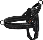 Didog Soft Flannel Padded Dog Vest Harness, No Pull/Quick Fit Reflective Dog Strap Harness, Easy for Training Walking (S:Chest 18-22", Mixed-Blue) - Image 12