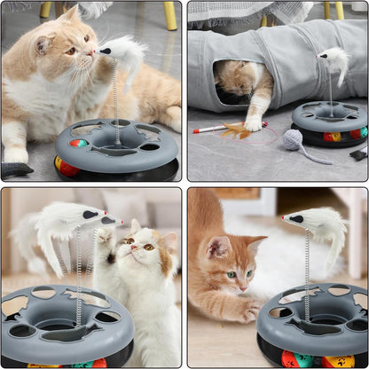 Multi-cat household setup showcasing two kittens exploring the 119 centimeter long interior maze.