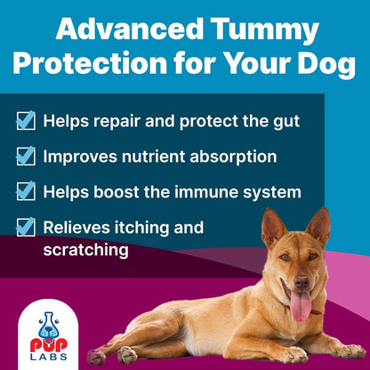 Pup Labs K9 Belly Bliss daily digestive support supplement container scoop view