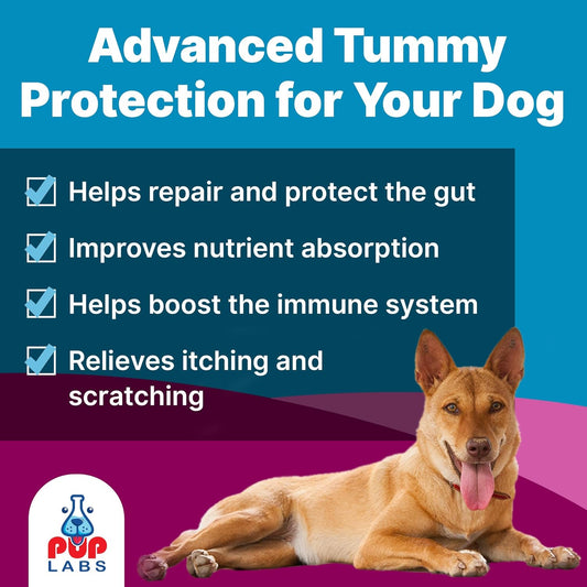 Pup Labs K9 Belly Bliss daily digestive support supplement container scoop view