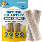 Large dog chewing on natural elk antler bone