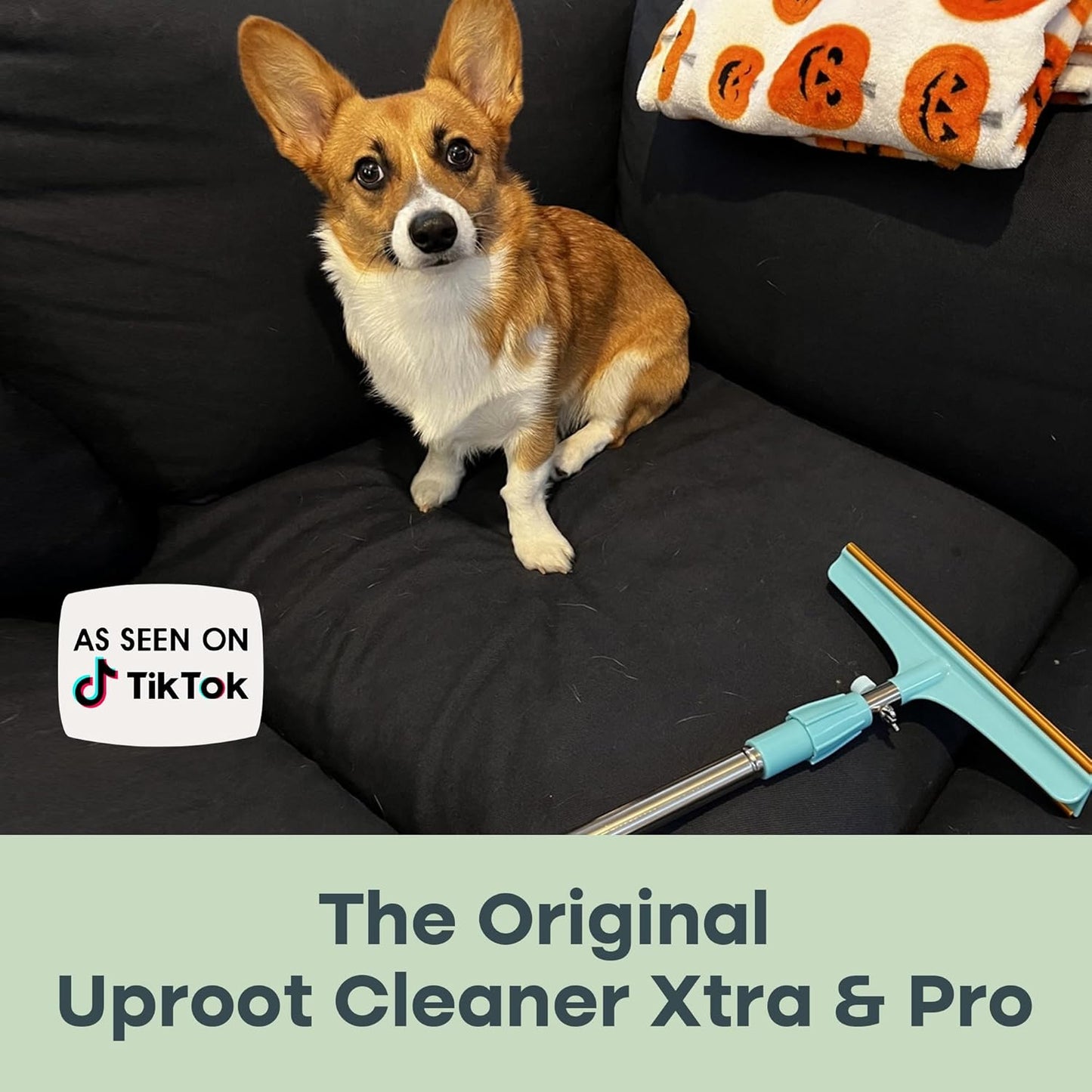 Uproot Clean Xtra rake sweeping pet fur from rug
