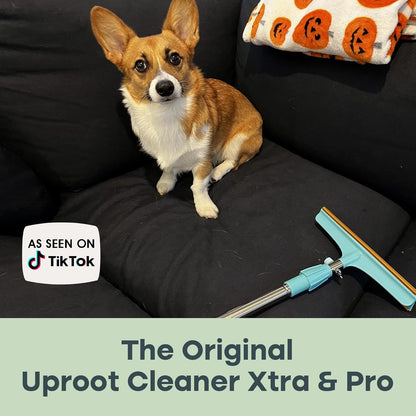 Uproot Clean Xtra rake sweeping pet fur from rug