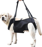 Dog wearing Eledume full body support harness for mobility