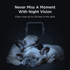Petcube Cam indoor pet monitor showcasing the back connection ports and power setup