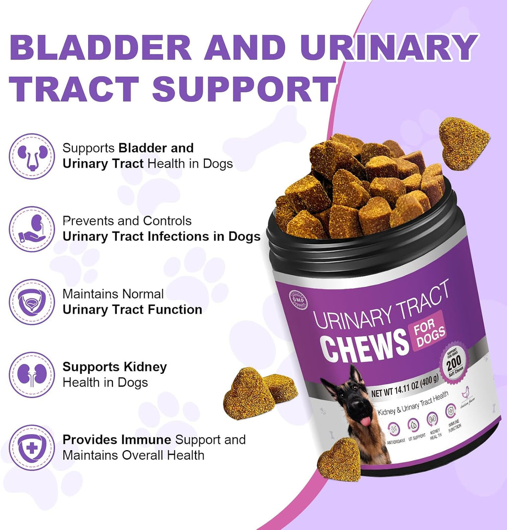 Chewia 200 chicken flavored chewable tablets for canine kidney and urinary tract support