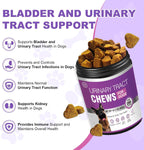 Chewia 200 chicken flavored chewable tablets for canine kidney and urinary tract support