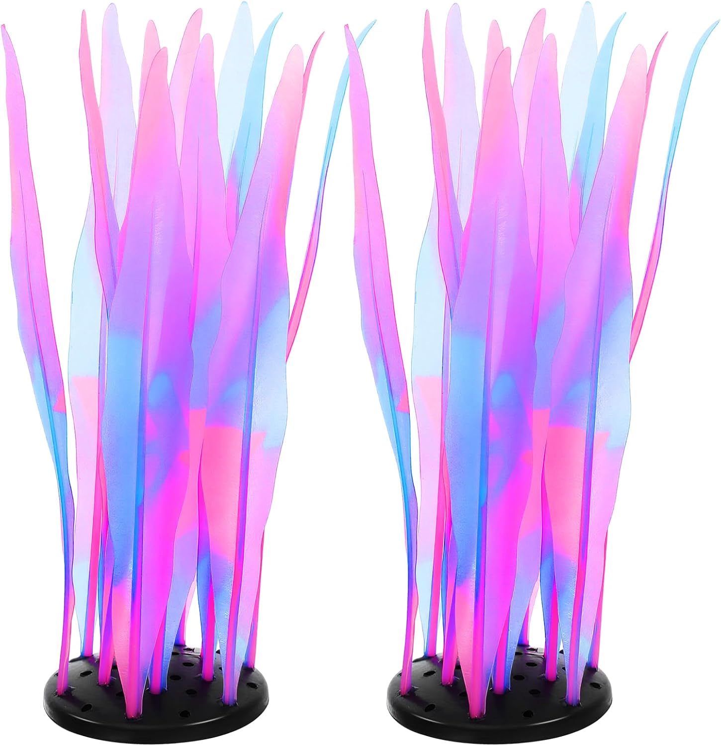 CAPASTEC LLOUSSAK aquarium glowing kelp plant pink front view inside a lit fish tank.