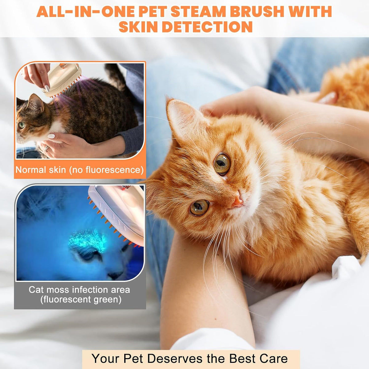 Pet owner using Arvion steam brush on a ginger tabby cat