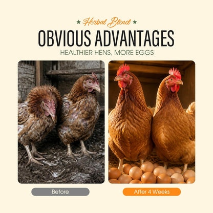 Aevezom all natural chili mix powder for chickens ducks and geese internal wellness.
