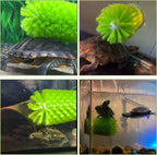 Multi functional suction cup brush being used as a glass cup cleaner