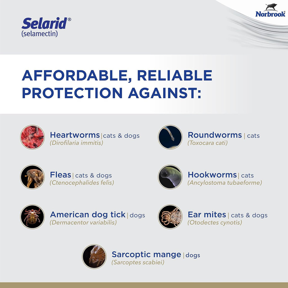 Topical applicator tubes for Selarid pet heartworm and parasite treatment