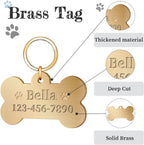 Overket custom pet ID tag attached securely to a modern dog collar