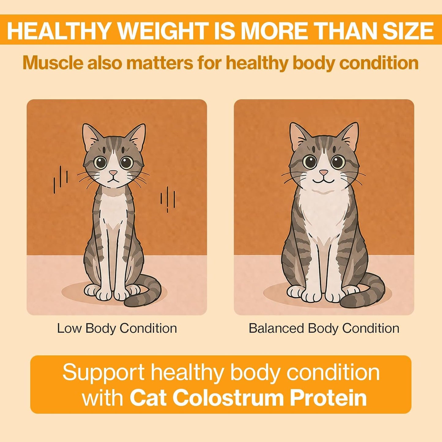 Doctor By lickable treat supplement for kitten and senior cat immune defense