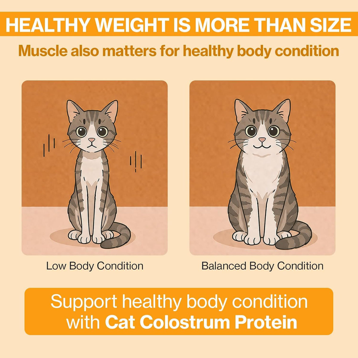 Doctor By lickable treat supplement for kitten and senior cat immune defense