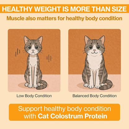 Doctor By lickable treat supplement for kitten and senior cat immune defense