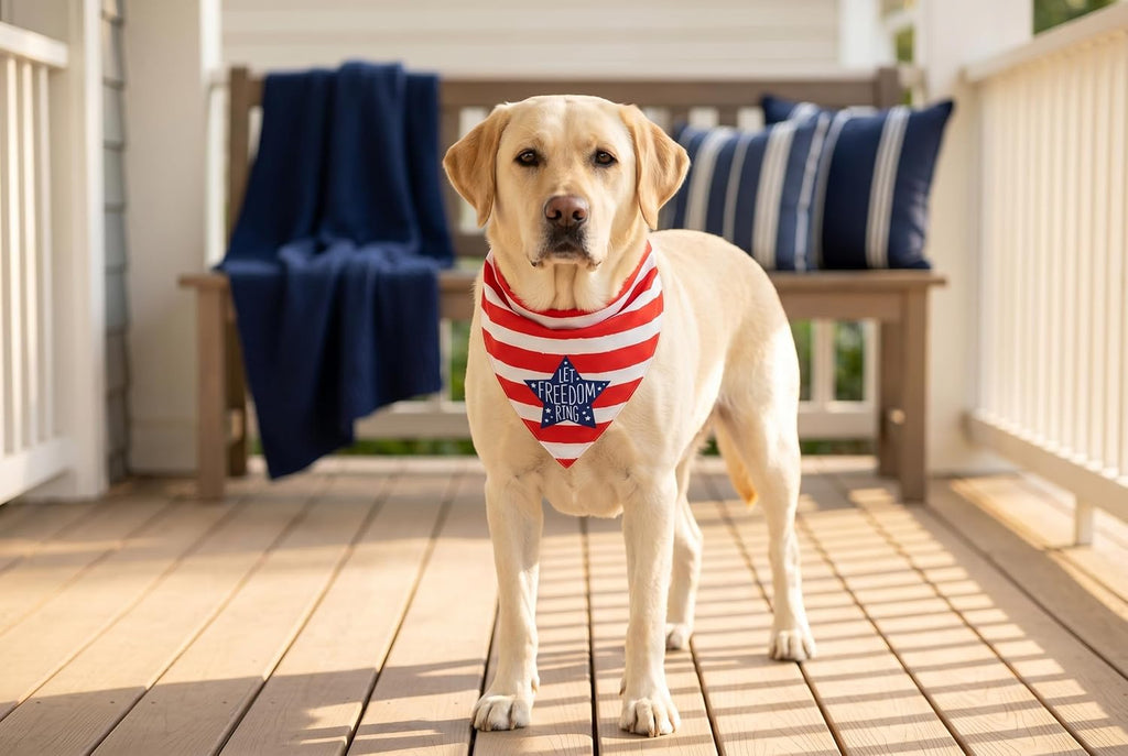 Patriotic pet accessories for 4th of July