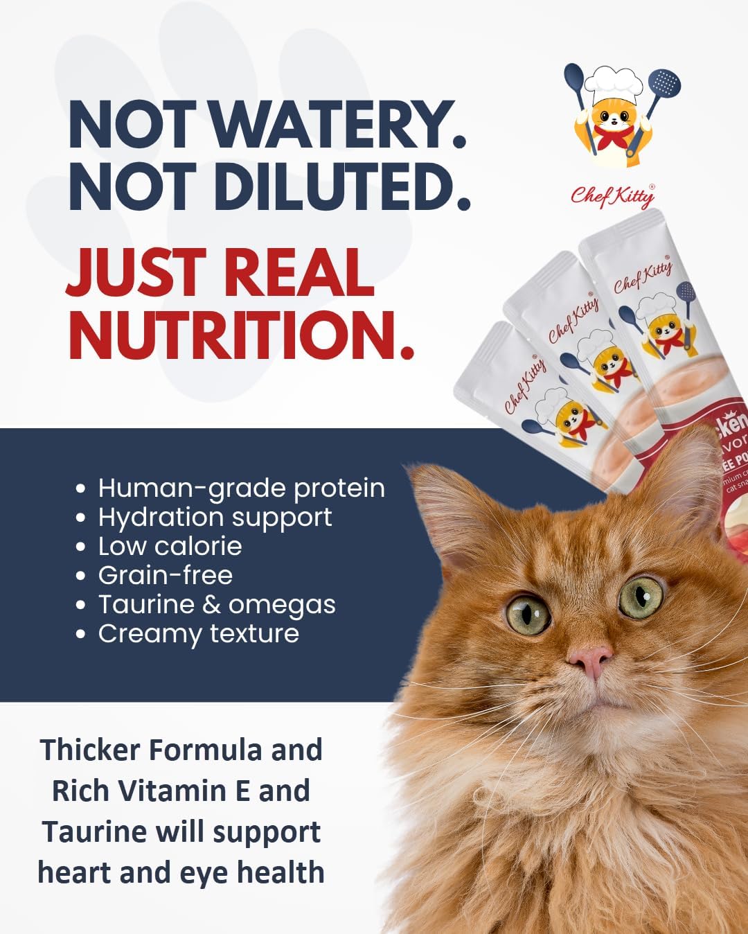 Inaba Churu cat treats packaging showing 20 tubes