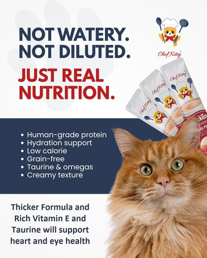 Inaba Churu cat treats packaging showing 20 tubes