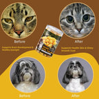 High protein training treats for cats and dogs