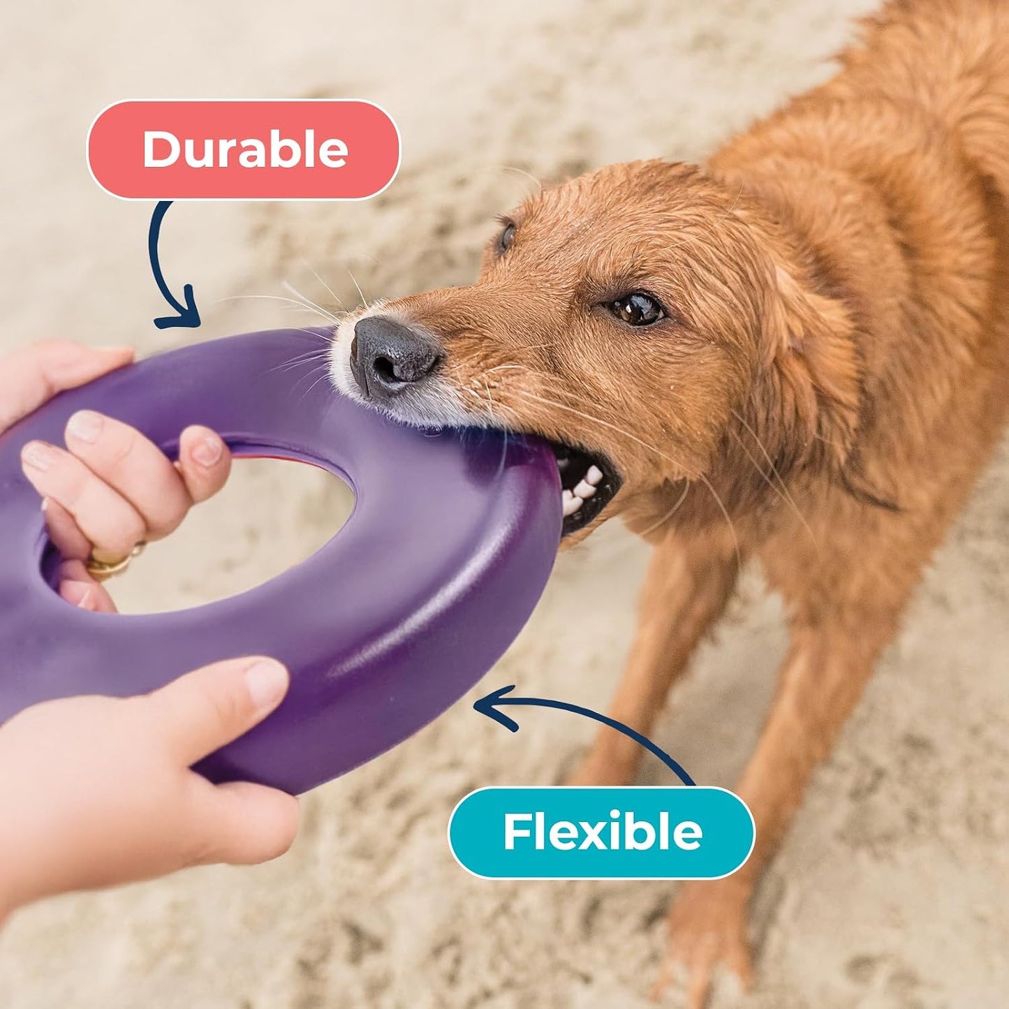 Wagalicious Airbound dog toy showing flexible rubber texture