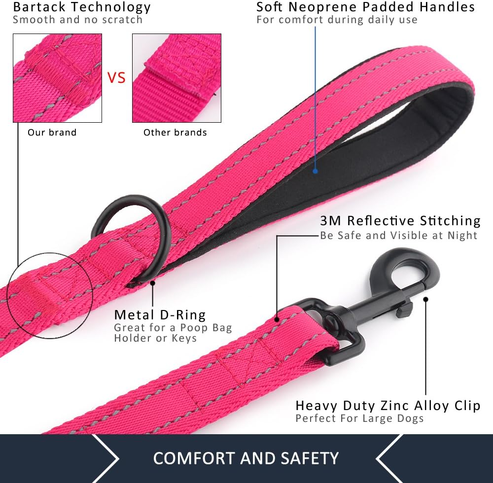 Plutus Pet six feet long dog leash showcasing the top standard handle and lower traffic handle.