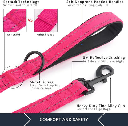 Plutus Pet six feet long dog leash showcasing the top standard handle and lower traffic handle.