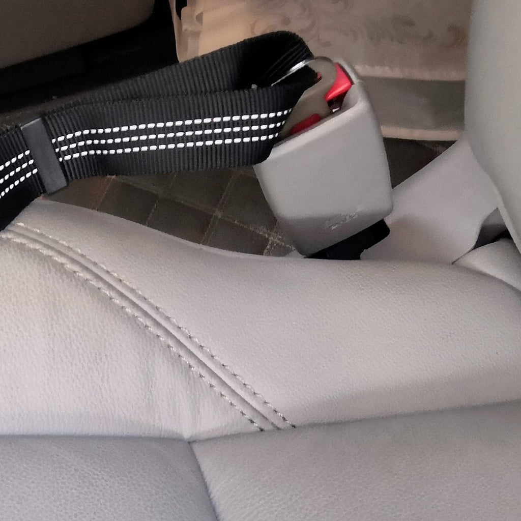Adjustable nylon strap mechanism for pet seat belt