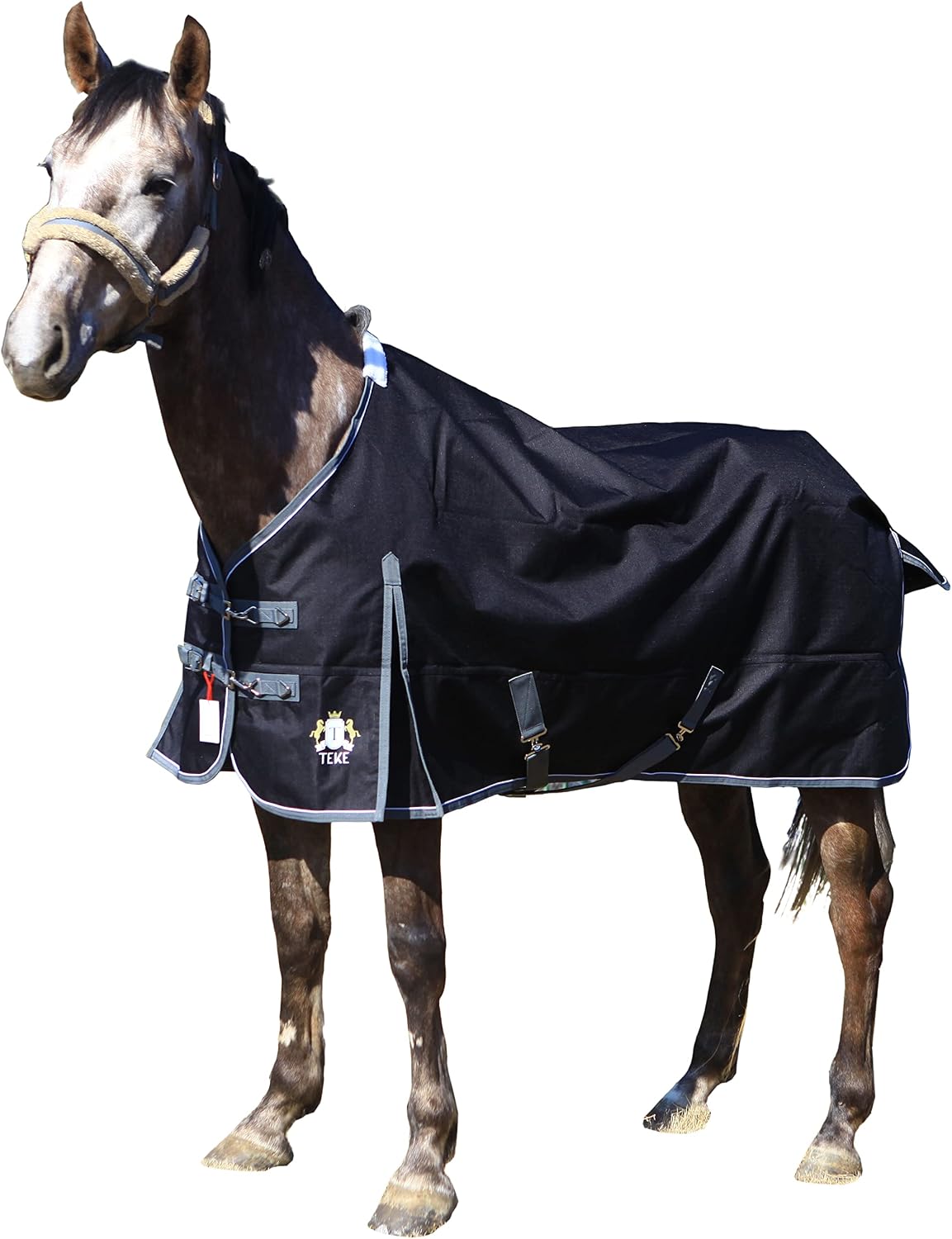 T TEKE Deluxe Turnout Horse Blanket in black 1200D waterproof fabric on a horse.